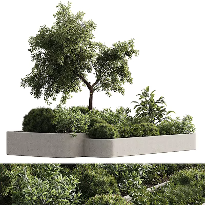 Concrete Planter With Tree And Various Lush Green Plants Arrangement 3d model