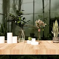 Natural Decorative Ornament Set With Green Plants White Candles And Glass Vases On Wooden Table