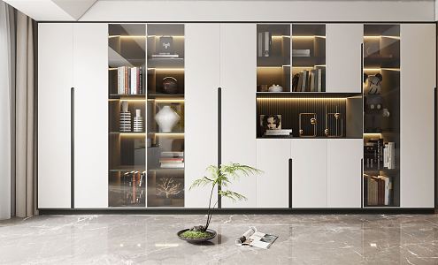 Modern bookcase 3d model