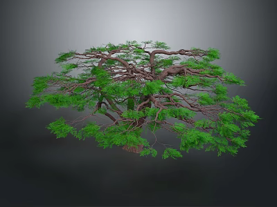 Lush Green Tree With Many Spreading Branches And Dense Foliage 3d model