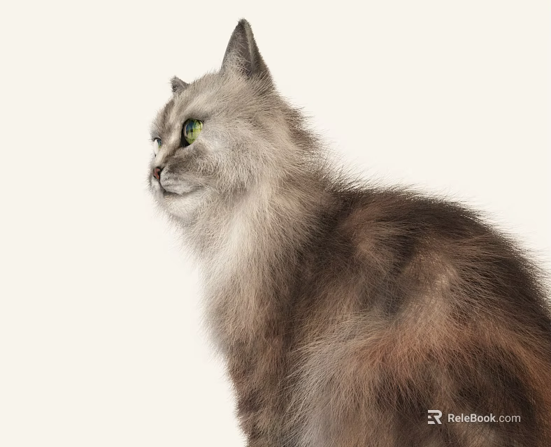 Fluffy Grey Cat With Green Eyes In Side View On White Background 3d model 