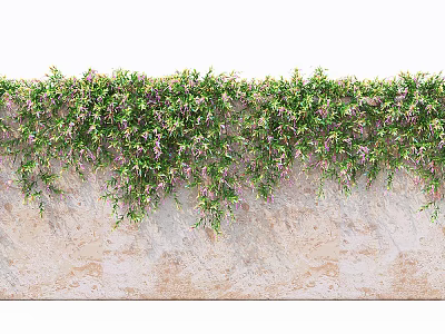 Lush Green Vines With Purple Flowers Growing On Weathered Stone Wall 3d model