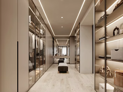 Modern Walk in Closet Interior Design With Glass Door Cabinets Hanging Clothes And Central Bench 3d model