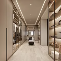 Modern Walk in Closet Interior Design With Glass Door Cabinets Hanging Clothes And Central Bench
