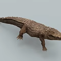 Detailed Aquatic Animal Crocodile Realistic 3D Rendering With Scaly Skin And Body Structure