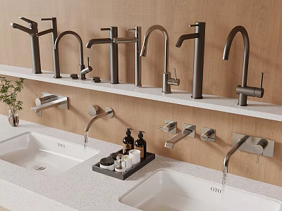 Bathroom Faucets And Sinks Display With Wooden Wall And Toiletries On Countertop 3d model