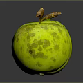 Four Fresh Green Apples With Small Spots On Black Background With Reflections