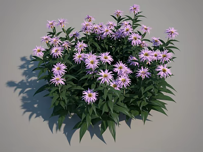 Purple Flowers With Green Leaves In Dense Cluster For Vase Decoration 3d model