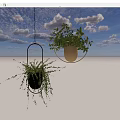 Hanging Green Potted Plants With Black And Gold Planters In Corridor With Blue Doors