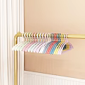 Colorful Plastic Hangers on Golden Hanger Rod with Simple Design for Closet Organization