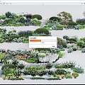 Various Garden Flowers And Bushes With Purple White Blooms And Green Plants