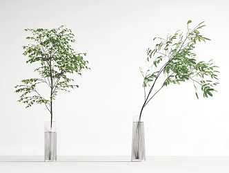 modern aquatic plants 3d model