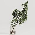Elegant Decorative Ornament Set With White Vase And Lush Green Leafy Plant
