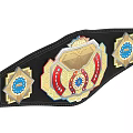 Professional Boxing Championship Belt With Black Leather Gold Accents And Red Center Badge