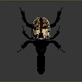 Exaggerated Fantasy Beetle with Black Exoskeleton Sharp Claws White Yellow Sections