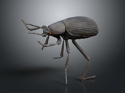 Dark Colored Beetle Model With Long Antennae Textured Body And Long Legs On Gray Background 3d model