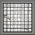Various Pressed Botanical Plant Specimens In Grid Display Board Collection Arrangement