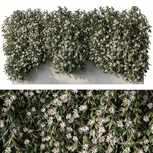 Lush Green Vines With White Flowers As Natural Wall Decoration For Indoor Outdoor Spaces 3d model 