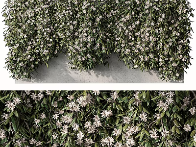 Lush Green Vines With White Flowers As Natural Wall Decoration For Indoor Outdoor Spaces 3d model