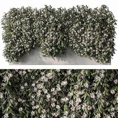 Lush Green Vines With White Flowers As Natural Wall Decoration For Indoor Outdoor Spaces 3d model