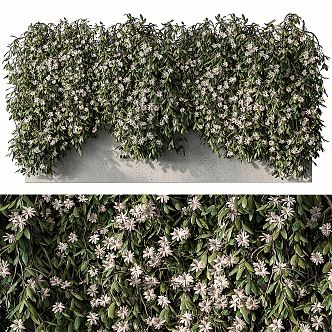 Modern Vine Climbing Vine Plant Wall 3d model