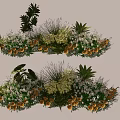 Vibrant Plant Combination With Green Foliage Yellow Flowers And Mixed Greens