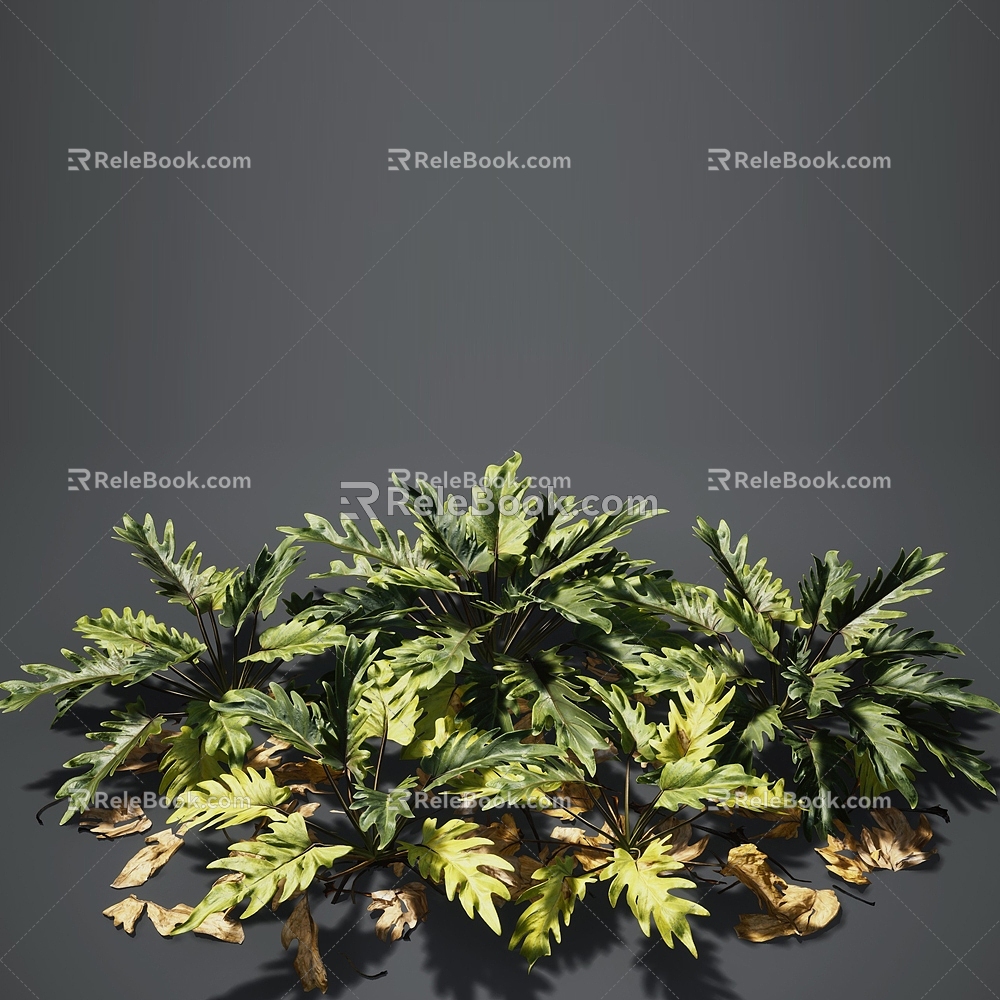 Modern Plants Outdoor Landscape Flowers Trees Plants 3d model