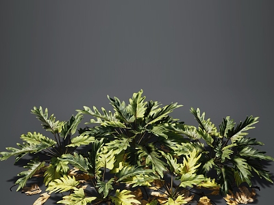 Modern Plants Outdoor Landscape Flowers Trees Plants 3d model