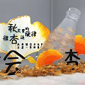 Autumn Ginkgo Photo Check In Spot With Golden Leaves And Decorative Characters