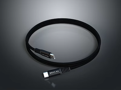 Black USB Data Cable With Male Connectors For Electronic Devices Use 3d model
