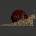 Reptile Snail With Red Striped Shell And Brown Cracked Textured Body On Dark Background