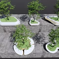 Modern Tree Planters With Irregular Shapes Green Grass And Trees On Gray Paved Ground