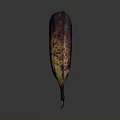 Close Up Image Of Overripe Banana With Brown Spots On Gray Background