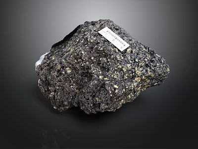 Natural Black Wood Stone With Golden Spots And Label On Dark Background 3d model