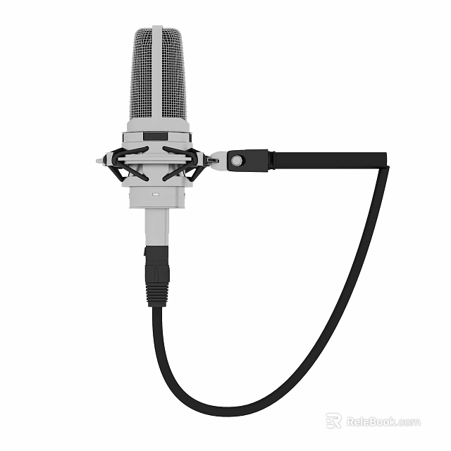 Professional Headphone with Built in Microphone for High Quality Audio Recording 3d model 