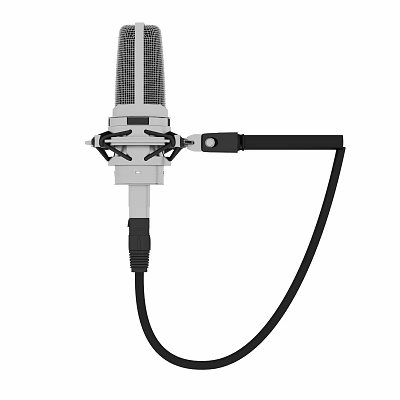 Professional Headphone with Built in Microphone for High Quality Audio Recording 3d model