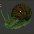 Snail With Brown Spiral Shell And Light Brown Body On Dark Background 3d model