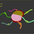 3D Rendered Biological Microorganism Model With Pink Core And Green Appendages On Black Surface