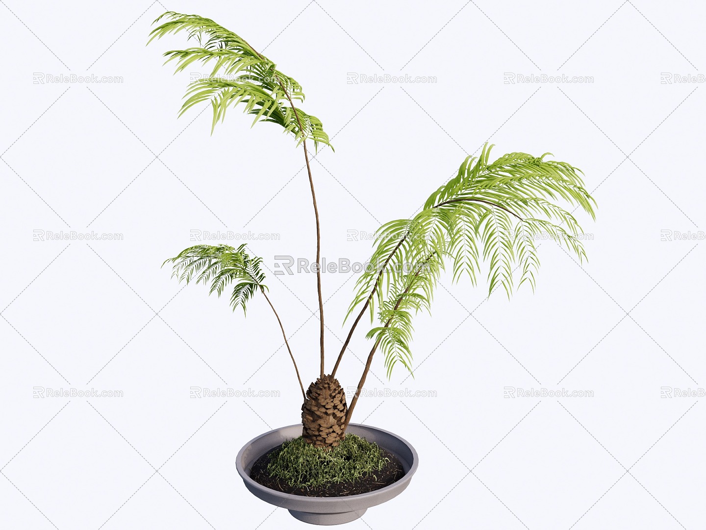 indoor potted plant 3d model