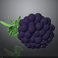 Purple Blackberry with Green Leaves and Clustered Berries on Dark Background