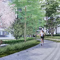 Modern Residential Landscape Design With Lush Green Trees Stone Pathway And Entryway