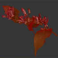 Green Leaf Plant With Pink Spotted Flowers And Flower Buds