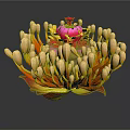 Vibrant Blooming Plant With Red Center Yellow Buds And Red Yellow Leaves