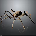 3D Spider Model With Textured Body Long Slender Legs And Red Lines On Dark Background