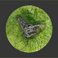 Natural Wooden Stump Featured On Circular Green Grass Outdoor Landscape