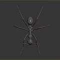 Detailed 3D Model of Metallic Ant with Shiny Exoskeleton and Long Legs on Dark Background