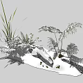 Lush Natural Snow Covered Rock with Diverse Ferns and Herbaceous Plants