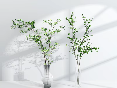 Two Vases With Green Branches Against White Background With Light Shadow Effects 3d model