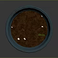 Vibrant Orange Garden Flower Pot With Blue Rim And Fresh Soil Inside