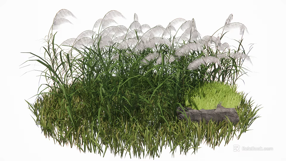 Lush Tall Grass with Feathery White Plumes and Natural Stone Accent 3d model 